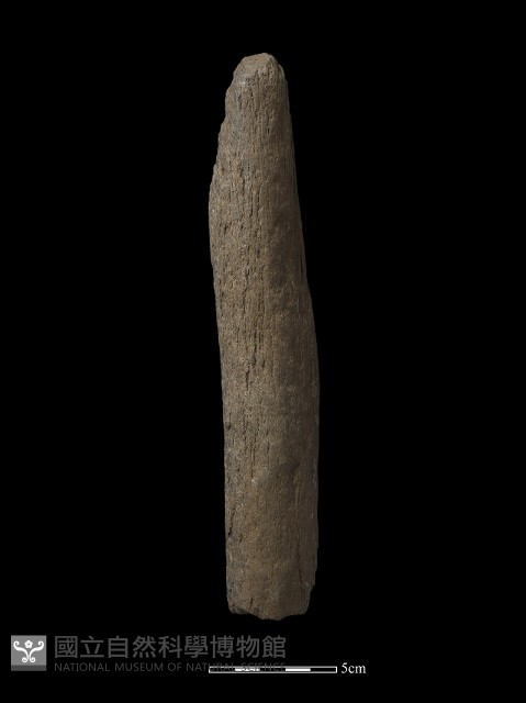石杵藏品圖，第4張