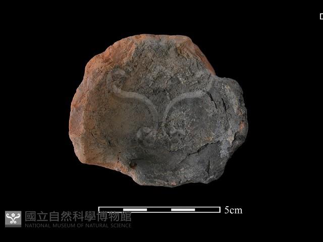 連杯形器藏品圖，第3張