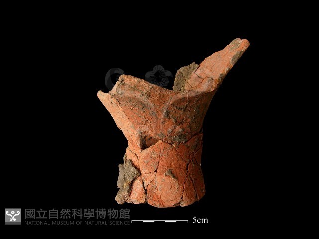 連杯形器藏品圖，第3張