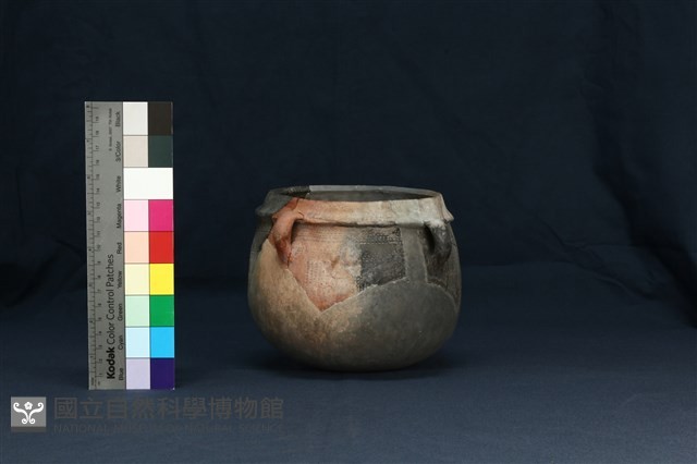 陶罐藏品圖，第3張