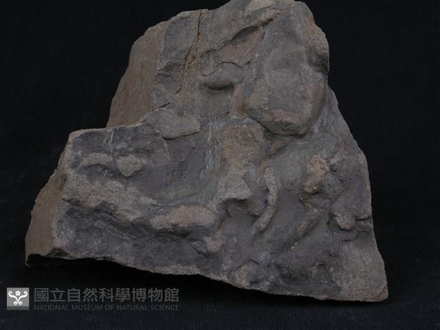 板岩/砂岩藏品圖，第3張