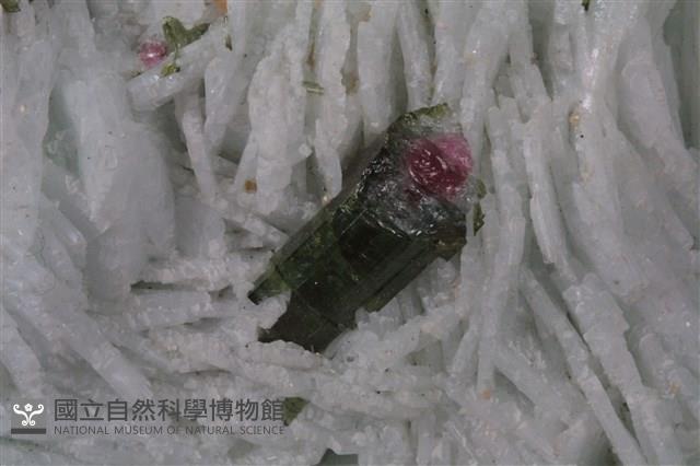 鈉長石藏品圖，第3張