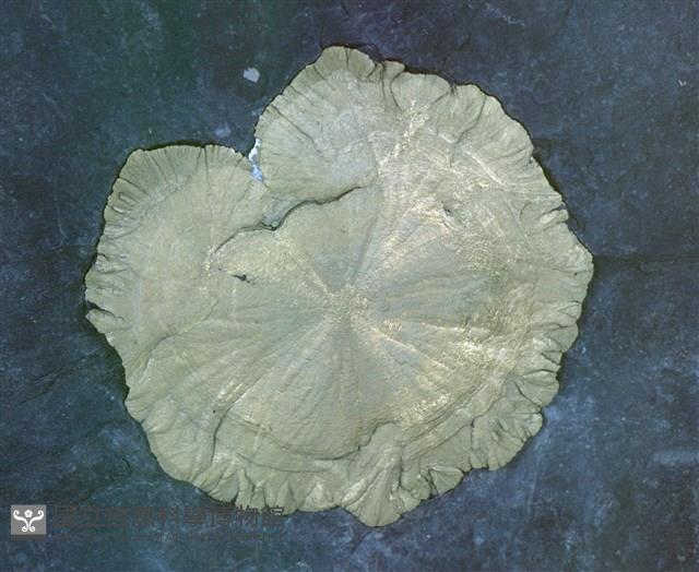 黃鐵礦藏品圖，第3張