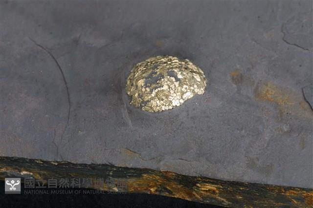 黃鐵礦藏品圖，第3張