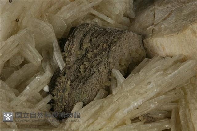 正長石/鈉長石藏品圖，第4張