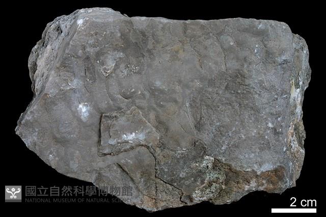 鐘乳石藏品圖，第3張