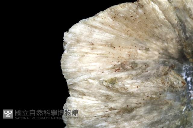 四水鍶硼石 藏品圖，第3張