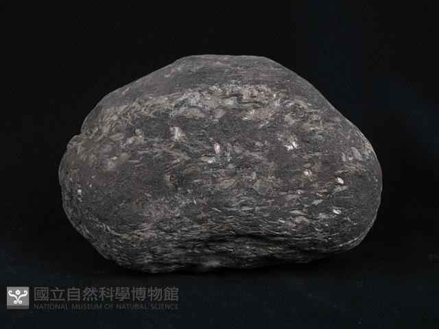 白雲母-角閃石片岩藏品圖，第3張