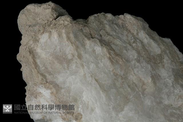鈉硼解石 藏品圖，第4張