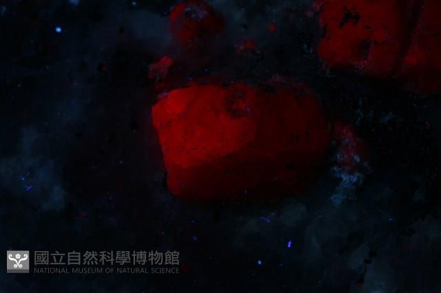 紅寶石藏品圖，第4張