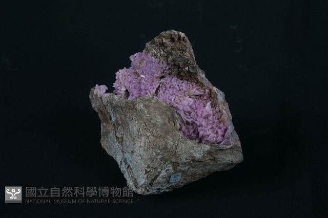 紅矽鈣錳礦藏品圖，第3張