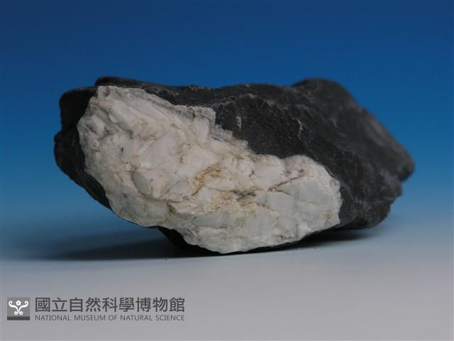 硬頁岩藏品圖，第3張