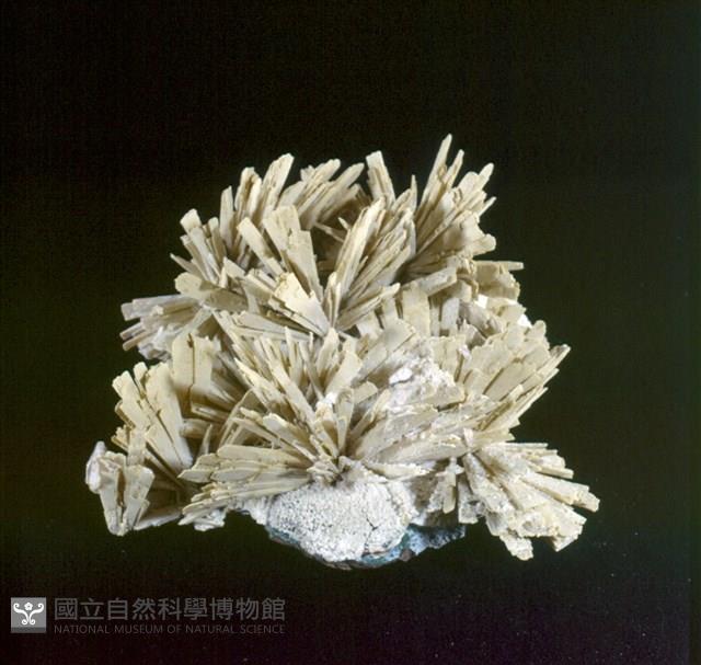 硬石膏藏品圖，第3張