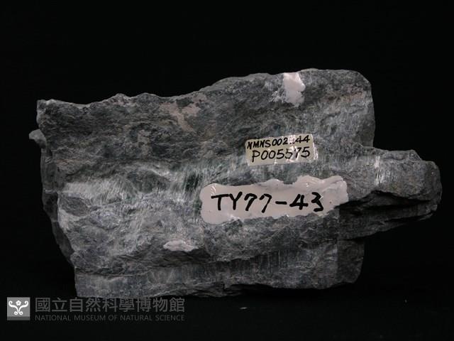 透閃石片岩藏品圖，第3張
