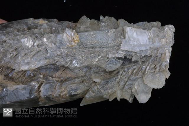 石膏藏品圖，第3張