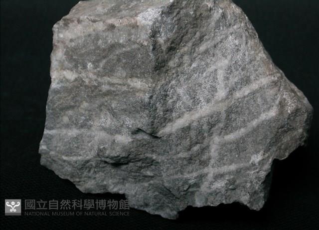 片岩藏品圖，第4張