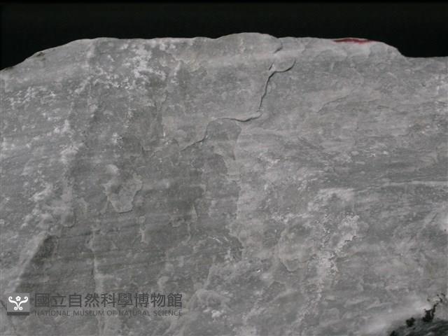 大理岩藏品圖，第3張