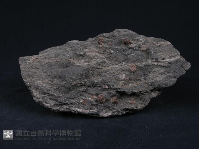 石榴子石-角閃石-白雲母片岩藏品圖，第3張