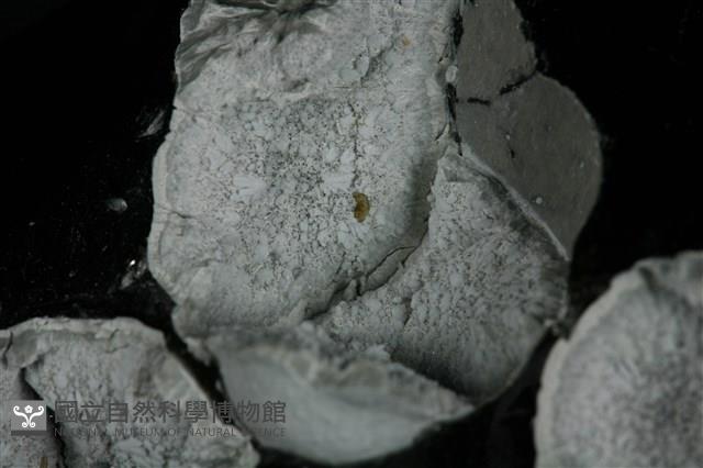 方矽石 藏品圖，第3張