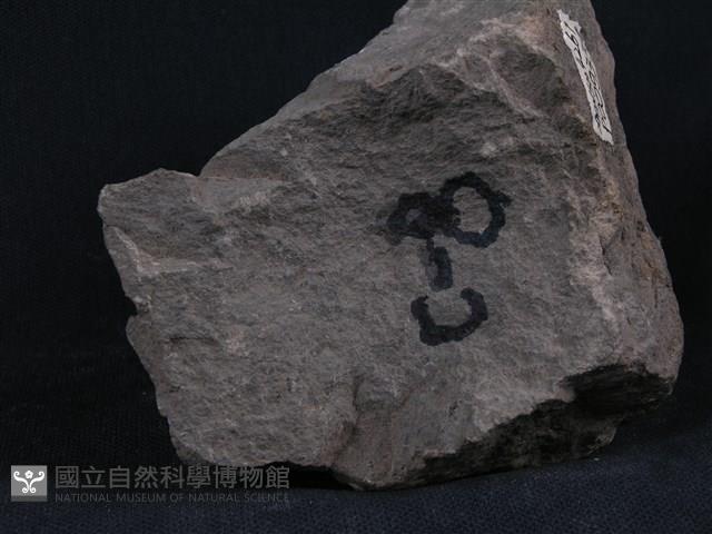 凝灰岩藏品圖，第3張