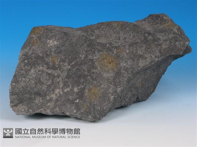硬頁岩藏品圖，第3張