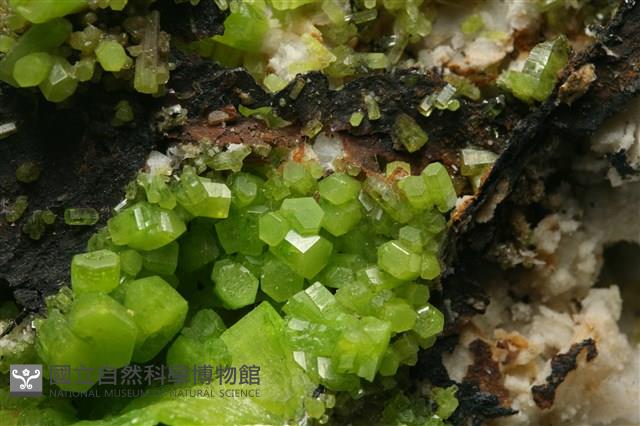 磷氯鉛礦 藏品圖，第3張