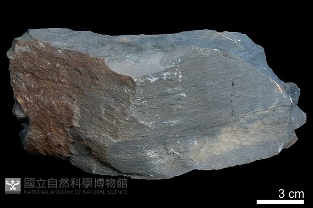 粉砂岩藏品圖，第3張