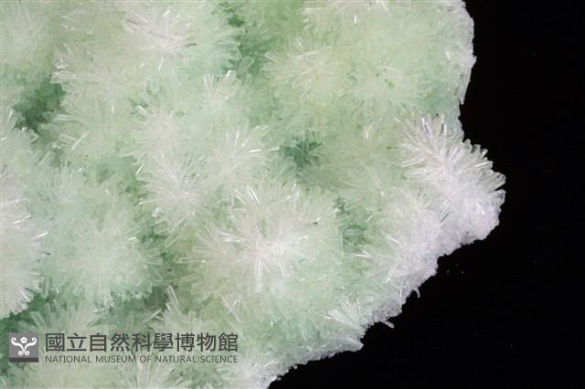 透石膏藏品圖，第3張