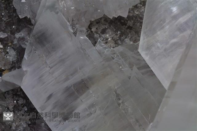 透石膏藏品圖，第3張