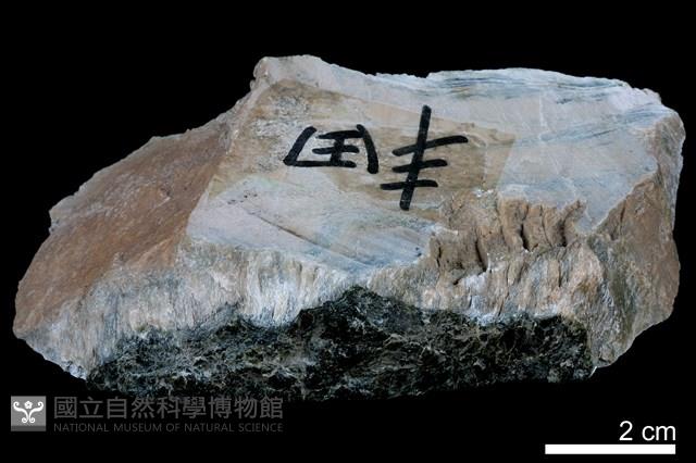 燧石藏品圖，第3張