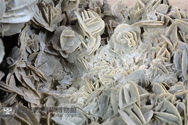 石膏藏品圖，第3張