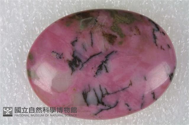 薔薇輝石/虎眼石/方鈉石/矽化棕櫚木/孔雀石藏品圖，第4張