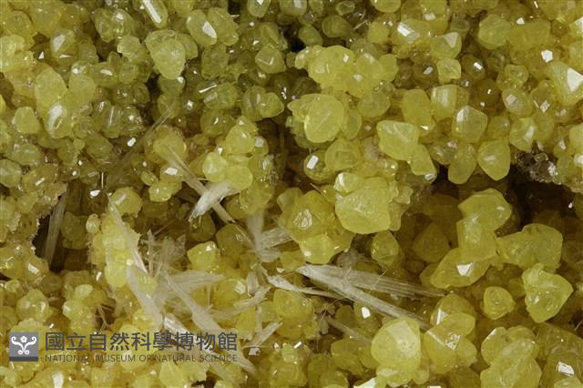 硫磺/透石膏藏品圖，第3張