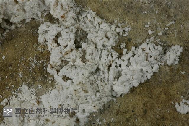 石膏藏品圖，第3張
