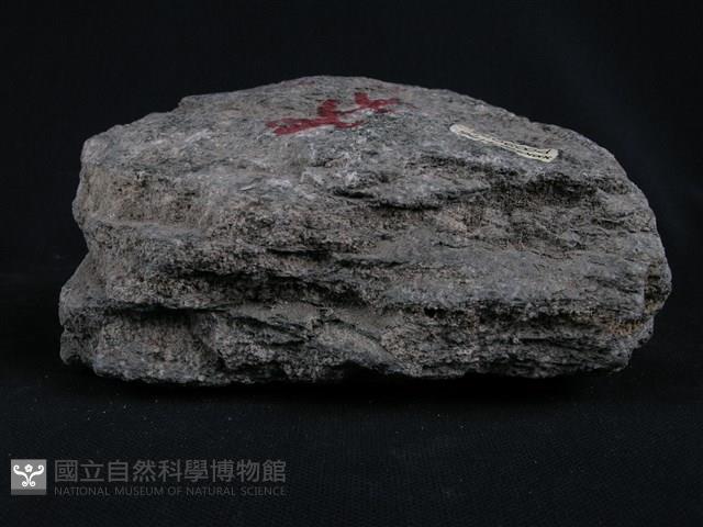 白雲母-綠泥石片岩藏品圖，第3張