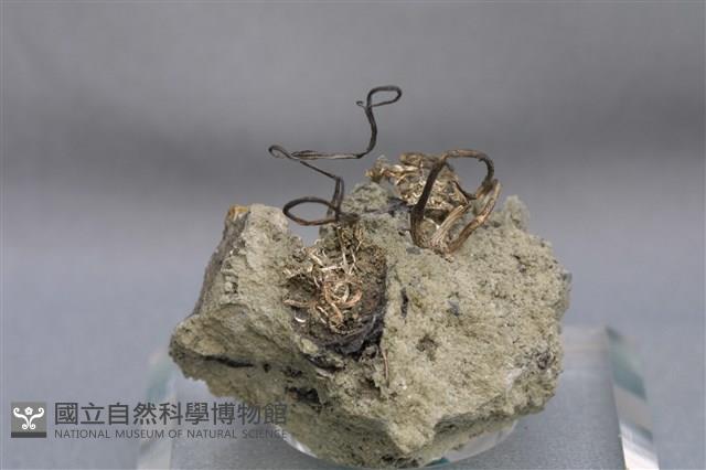 自然銀藏品圖，第3張
