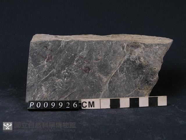 石墨片岩、綠泥石片岩藏品圖，第4張
