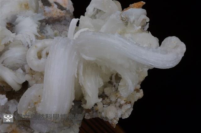透石膏藏品圖，第3張