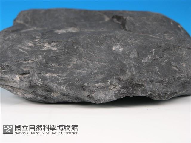 硬頁岩藏品圖，第3張