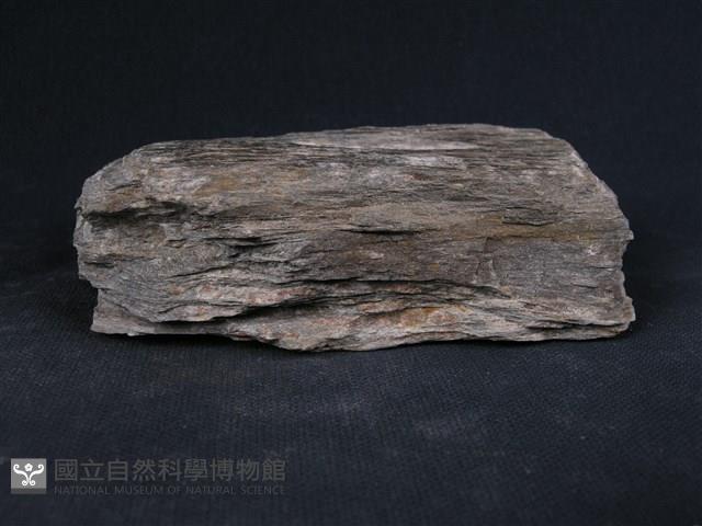 矽質片岩藏品圖，第3張