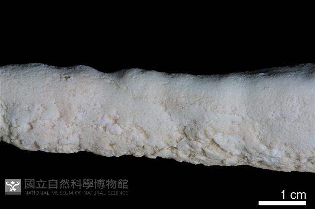 鐘乳石藏品圖，第3張