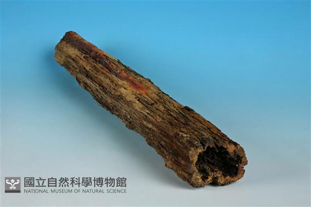 針鐵礦藏品圖，第3張