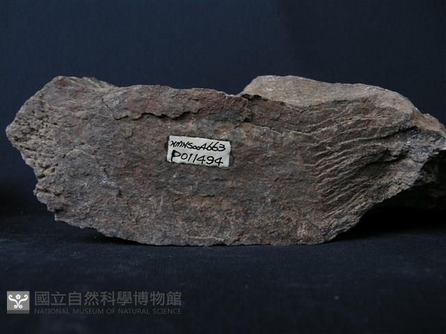 正片麻岩藏品圖，第3張