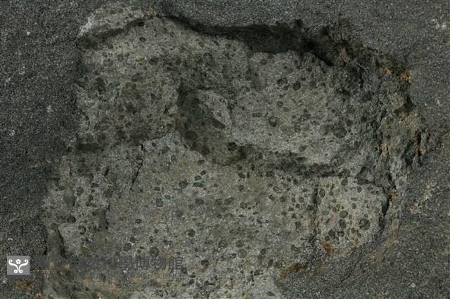 安山岩藏品圖，第4張