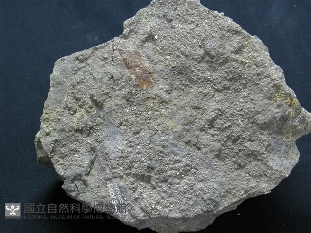 石英安山岩藏品圖，第3張