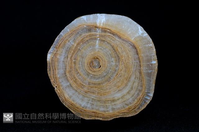 鐘乳石藏品圖，第4張