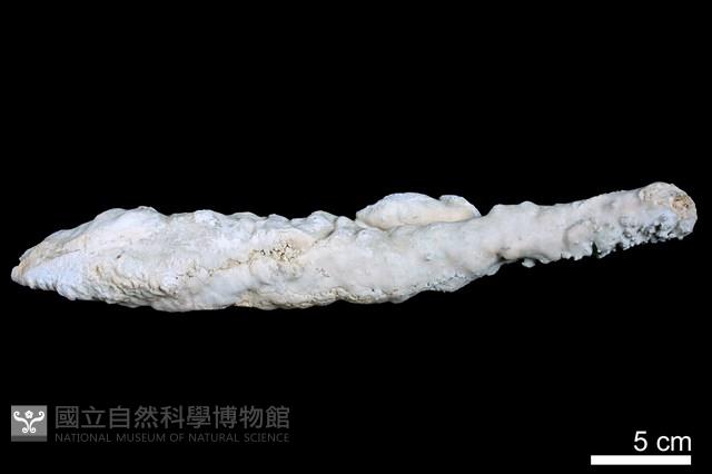 鐘乳石藏品圖，第3張