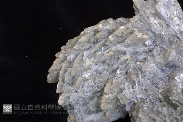 石膏藏品圖，第3張