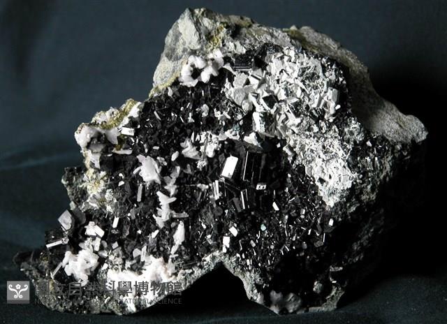 Augite Collection Image, Figure 3, Total 4 Figures