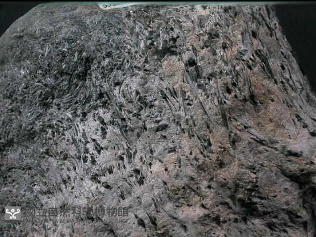 多矽白雲母藍閃片岩藏品圖，第3張